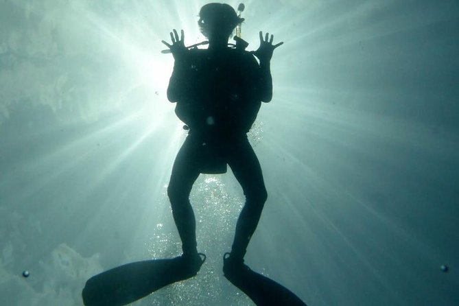 Underwater Scooter Dive (Certified Divers Only) Makena Wailea - Small Group Numbers Mean More Focus in the Water