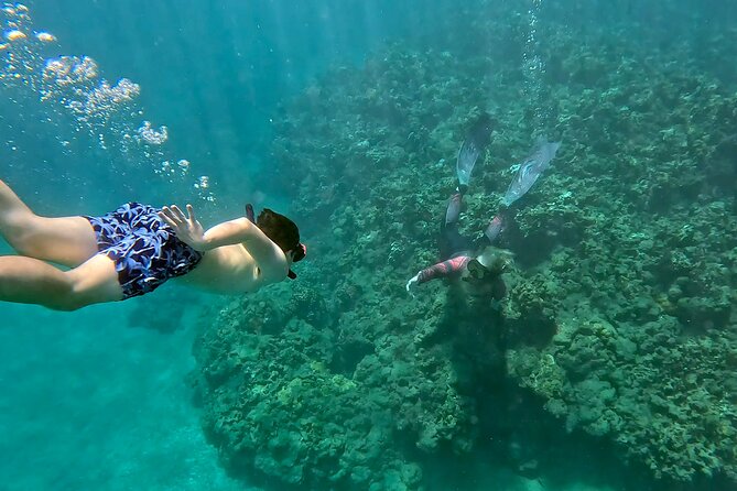 Unlimited Guided Snorkeling Tour for Beginners Plus - Key things to know before you book