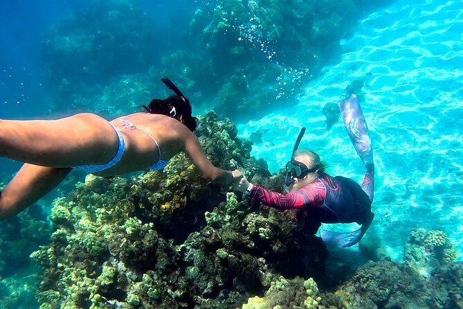 Unlimited Guided Snorkeling Tour for Beginners Plus - Olowalu Reef with Gabriel’s Ohana: what makes this beginner tour work
