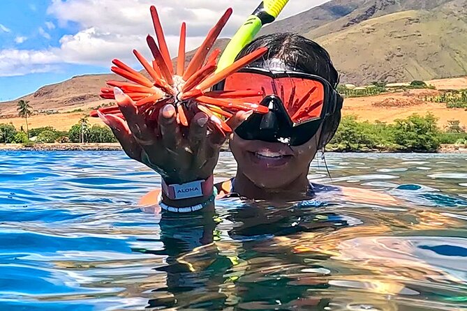 Unlimited Guided Snorkeling Tour for Beginners Plus - The 11:00 am meetup: what logistics feel like in real life