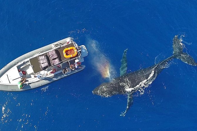 VIP Aloha Nui Snorkel Adventure w/ optional SCUBA from Lahaina - Lunch, banana bread, and the onboard comforts you’ll remember