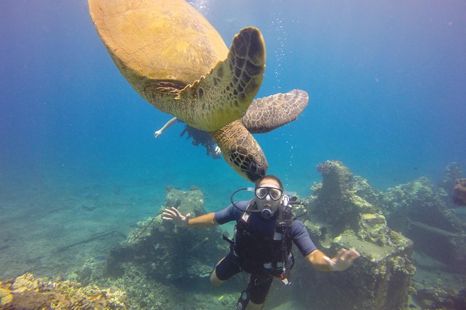 VIP Aloha Nui Snorkel Adventure w/ optional SCUBA from Lahaina - Weather reality on Maui: plan for a “nature decides” day