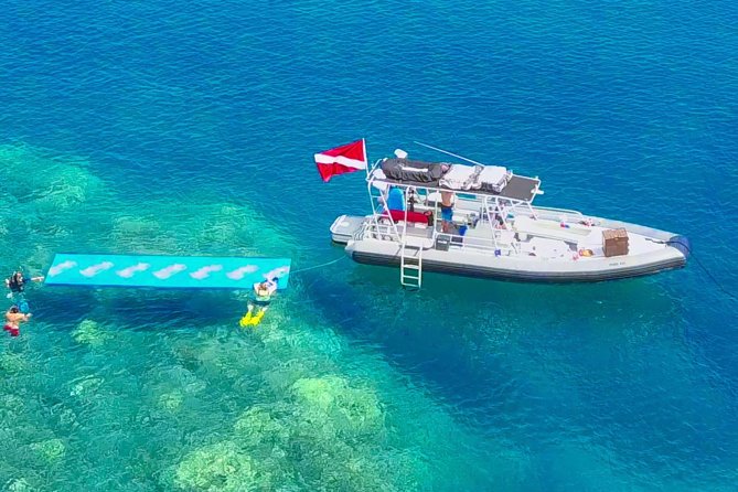 VIP Aloha Nui Snorkel Adventure w/ optional SCUBA from Lahaina - How they choose snorkel spots: chasing the best conditions