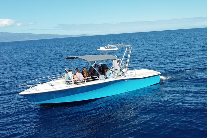 VIP Premiere Whale Watch Kaanapali Beach MAX 12 PASSENGERS - From Kaanapali to the AuAu Channel: how the 2-hour whale route works