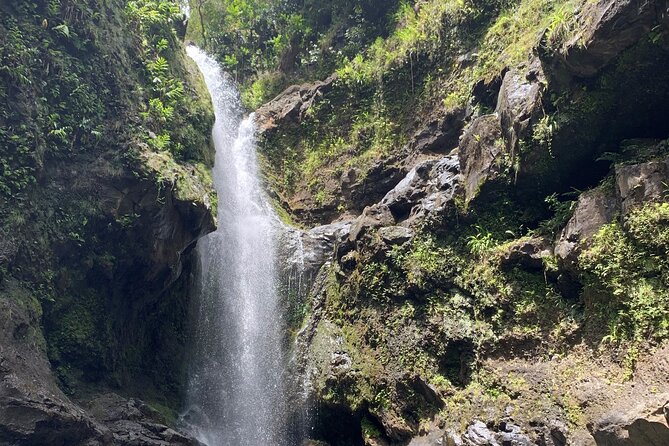 VIP Private Full-Day Road to Hana Tour from Lahaina-Kapalua - Pua’a Ka’a State Park and Hana Lava Tubes: water and rock in one day