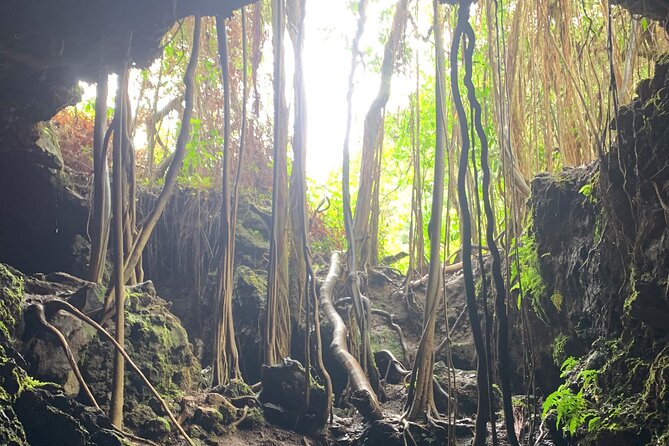 VIP Private Full-Day Road to Hana Tour from Lahaina-Kapalua - Wai‘anapanapa black sand beach and Hana Farms food stop