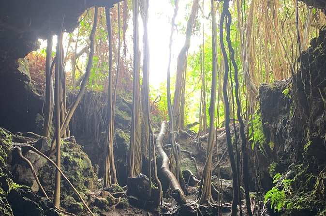 VIP Private Full-Day Road to Hana Tour from Lahaina-Kapalua - Wailua Falls, Lindbergh’s grave, and the Kipahulu coastline mood