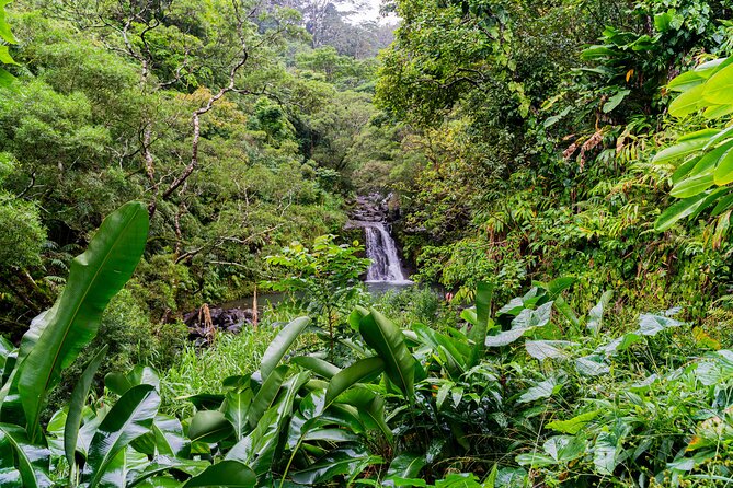VIP Private Full-Day Road to Hana Tour from Lahaina-Kapalua - Start in Paia and Ho’okipa: town charm, surfers, and sea turtles