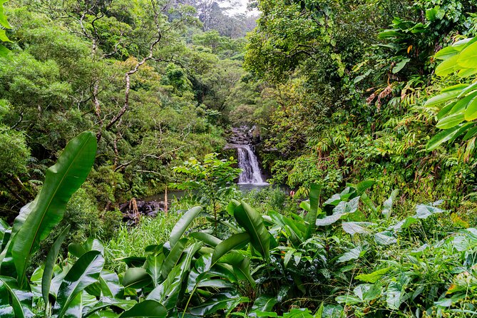 VIP Private Full-Day Road to Hana Tour - Bamboo Forest, Ke‘anae, and Pua‘a Ka‘a Waterfall Time