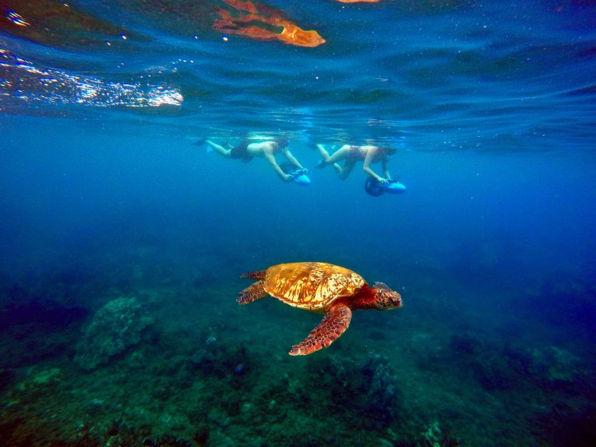 Wailea Beach: Guided Sea Scooter Snorkeling Tour - Quick planning tips for a smooth morning at Wailea