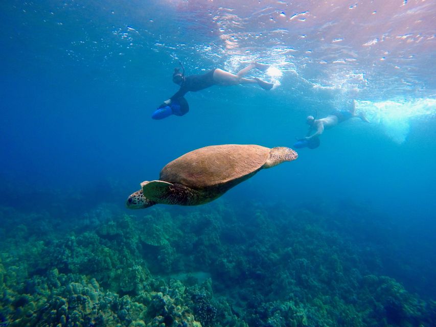 Wailea Beach: Guided Sea Scooter Snorkeling Tour - Sea scooter snorkeling at Wailea Beach: why it feels easier than normal snorkeling