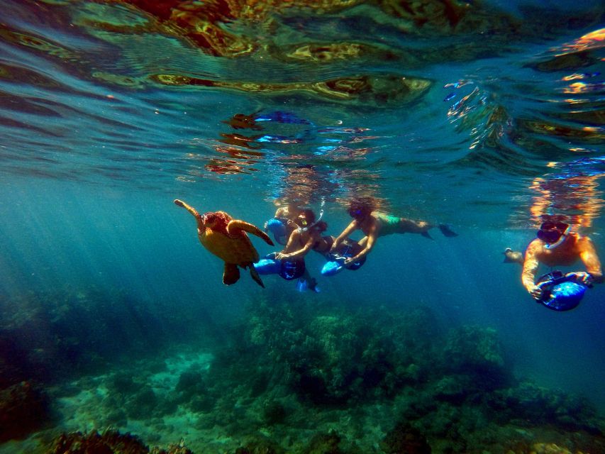 Wailea Beach: Guided Sea Scooter Snorkeling Tour - Equipment and what to bring: included gear plus your essentials