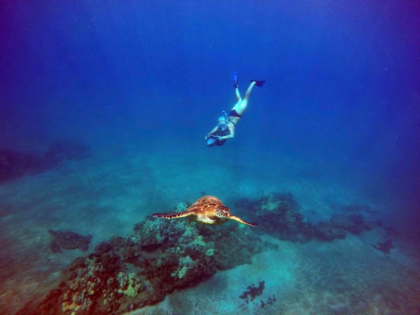 Wailea Beach: Guided Sea Scooter Snorkeling Tour - Your 90 minutes on the reef: from safety class to Turtle Town