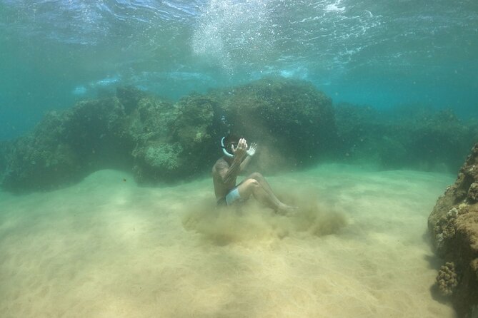 Water Bike Tour in South Maui - Key Things to Know Before You Pedal