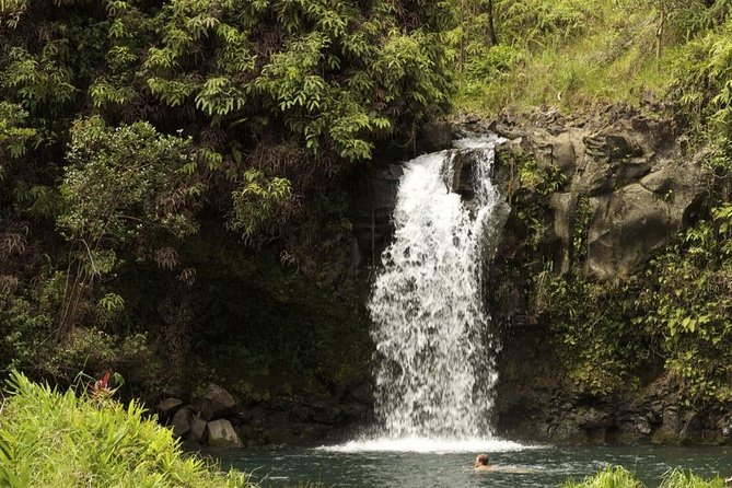 Waterfall and Rainforest Adventure - Key highlights worth clocking