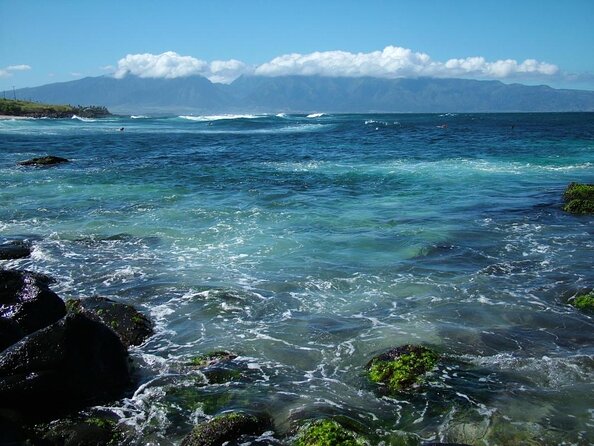 Waterfall and Rainforest Adventure - Road to Hana, but with less stress on your shoulders