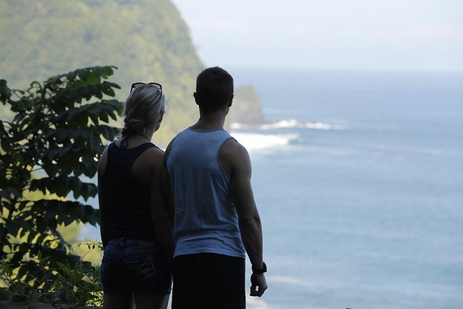 Waterfall and Rainforest Adventure - Who this tour is best for