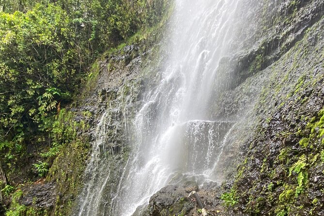 Waterfall and Rainforest Adventure - Tips so your day goes right even if Maui rains