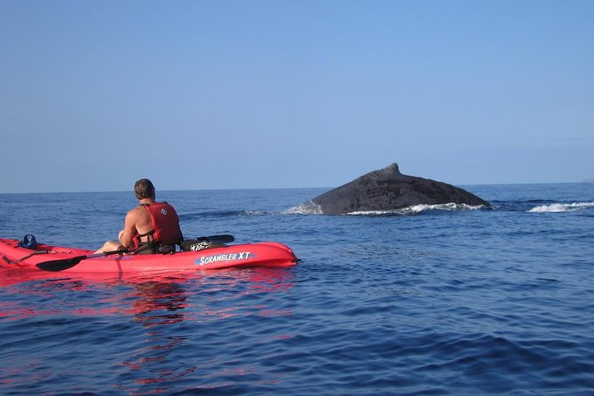 Waterfall Hike and Kayak Snorkel & Paddle from Makena - Guides in action: what Justin, Cody, Pasco, and Jake do well