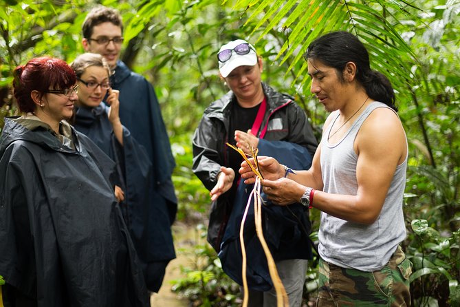 Waterfall, Rainforest, Chocolate Tour & Historical Sites - Walking the rainforest: dinosaur ferns, cacao growing, and old Hawaiian ruins