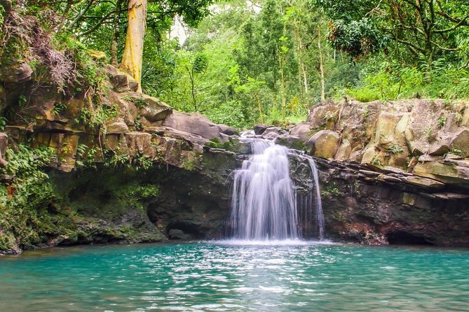 Waterfall & Rainforest Hiking Adventure with Hotel Pickup - The 2.5-Mile Rainforest Hike: Waterfalls, Pool Swims, and Jump Options