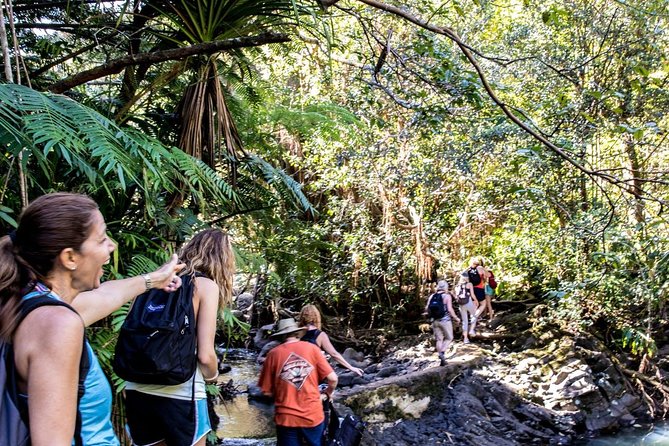 Waterfall & Rainforest Hiking Adventure with Hotel Pickup - Who Should Book This Waterfall & Rainforest Adventure