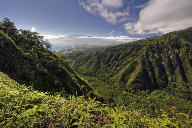 West Maui Adventure Tour with Private Guide - Key highlights at a glance