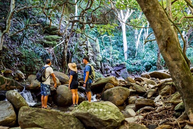 West Maui Adventure Tour with Private Guide - A West Maui day designed around your interests, not a fixed bus route
