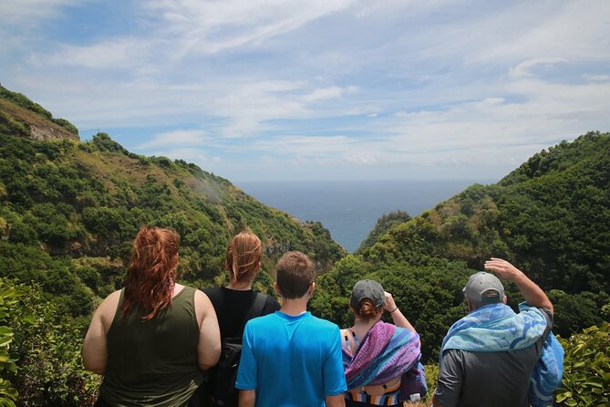 West Maui Adventure Tour with Private Guide - Makamakaole Falls option: a short out-and-back for stronger legs