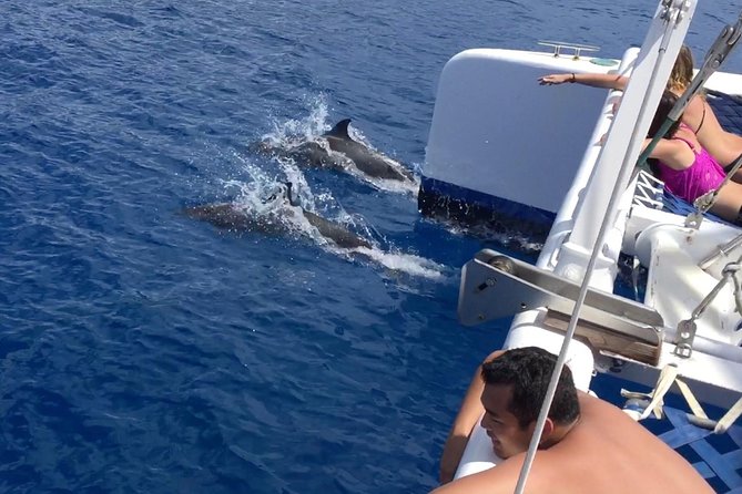 West Maui Afternoon Snorkel from Ka’anapali Beach - Afternoon Timing at 12:30 pm: Keep Your Morning for Maui