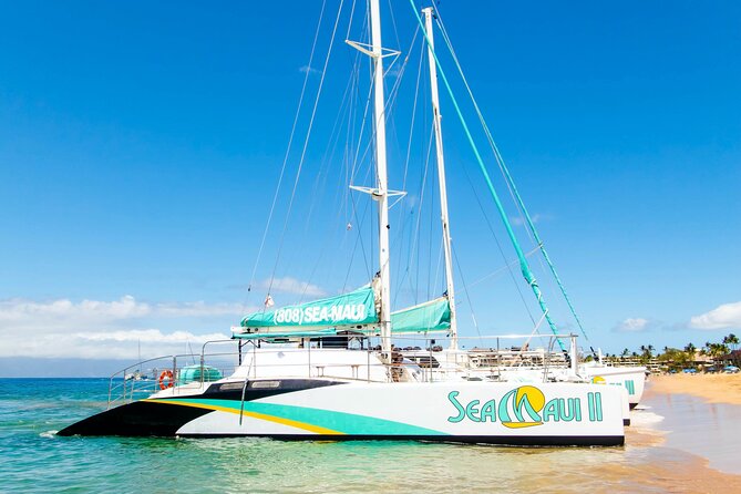 West Maui Afternoon Snorkel from Ka’anapali Beach - Price and Value: Is $156.16 Fair for 3.5 Hours?