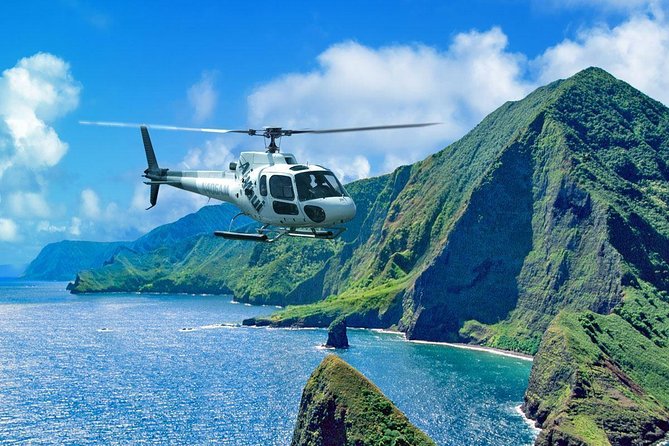 West Maui and Molokai 60-Minute Helicopter Tour - The finish: tallest sea cliffs in the world over Molokai