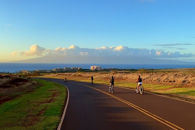 West Maui eBike Island Explorer Full-Day Rental - Road safety and route friction: the main drawback to plan for