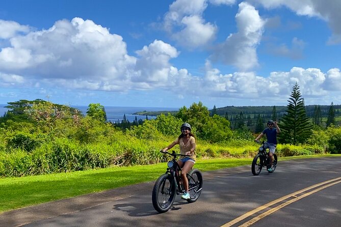 West Maui eBike Self-Guided Island Adventure Tour - Self-Guided, Not “No Help”: What Your Briefing Sets Up