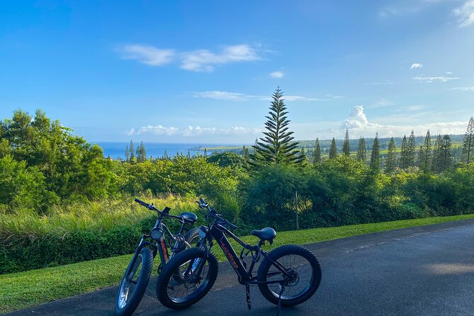 West Maui Electric Bike Rentals - Pickup and Route Friction: What to Watch So It Doesn’t Eat Your Time