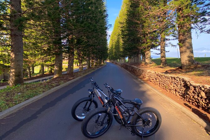 West Maui Electric Bike Rentals - Black Rock Bikes Power: 23 Mph and Two Ways to Help You
