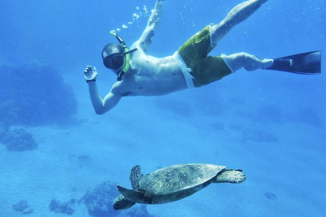 West Maui Half Day Snorkel from Ka’anapali Beach - The 4-Hour Flow: Breakfast, Snorkel Time, Then Food Again