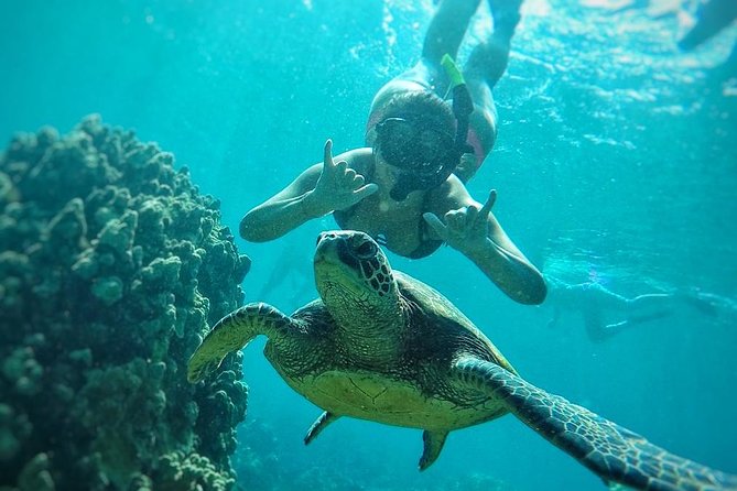 West Maui Half Day Snorkel from Ka’anapali Beach - The Crew and the Little Comfort Wins