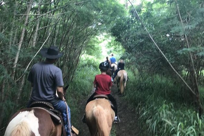 West Maui Mountain Waterfall and Ocean Tour via Horseback - Down to the Coast: Riding by the Pacific Ocean (No Beach Riding)