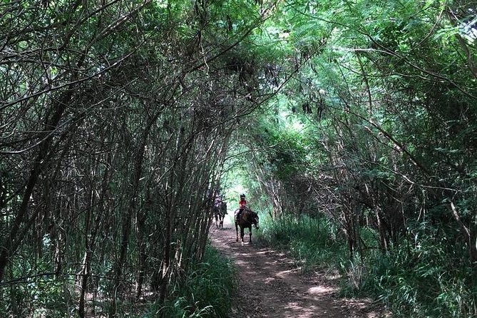 West Maui Mountain Waterfall and Ocean Tour via Horseback - The Petting Zoo Stop: A Real Animal Break, Not Just a Photo Op