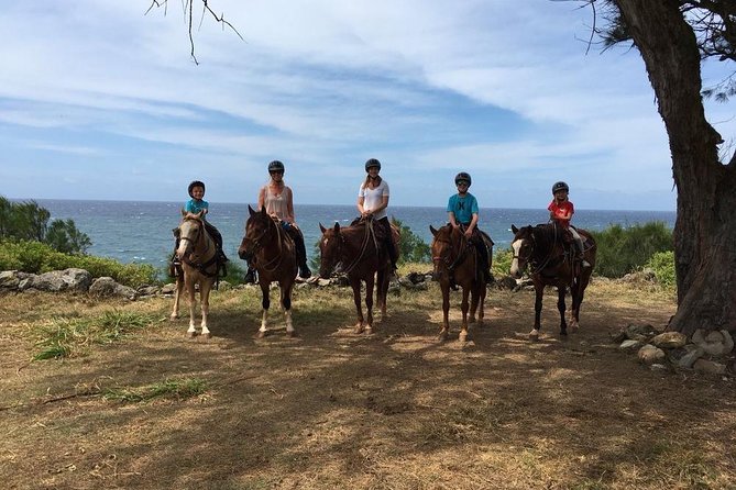 West Maui Mountain Waterfall and Ocean Tour via Horseback - What the Terrain Really Means: Steep Trails, Dust, and Getting Properly Dressed