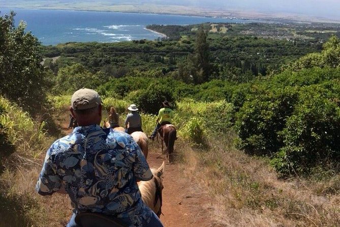 West Maui Mountain Waterfall and Ocean Tour via Horseback - Up Into the West Maui Mountains: Waterfalls Are Seasonal, But the Views Aren’t