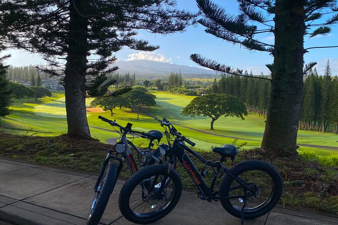 West Maui: Self-Guided E-Bike Kapalua Jungle Adventure Tour - Riding comfort: seating, throttle fun, and the “my back says what” issue