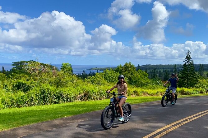 West Maui: Self-Guided E-Bike Kapalua Jungle Adventure Tour - Best way to use this day: stops that matter and how to enjoy them