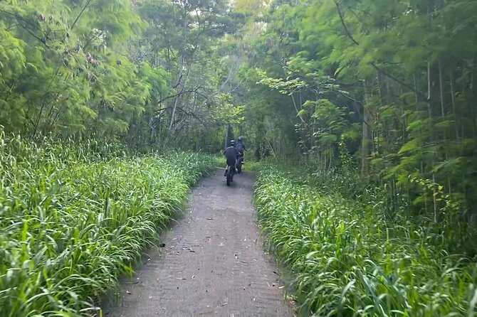West Maui: Self-Guided E-Bike Kapalua Jungle Adventure Tour - Family fit: who this works for (and who may feel less happy)