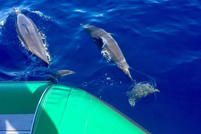 West Maui Snorkeling Experience by Boat from Ka'anapali - Key things to know before you go