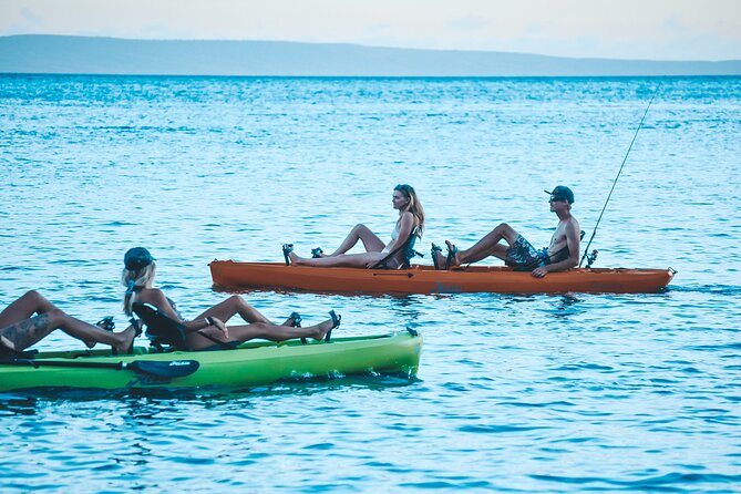 Whale Watch and Scenic Tour from Kayak - The on-water flow: brief, glide, search, and return