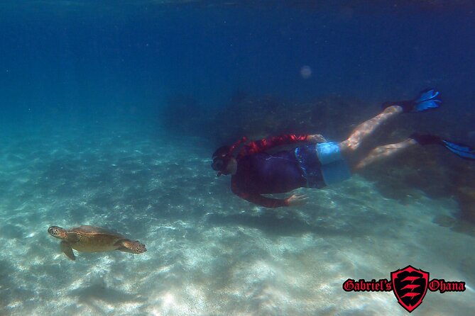 Whale Watch by Kayak-No Time Limit - Olowalu’s kayak setting: why whale song and snorkeling can work together