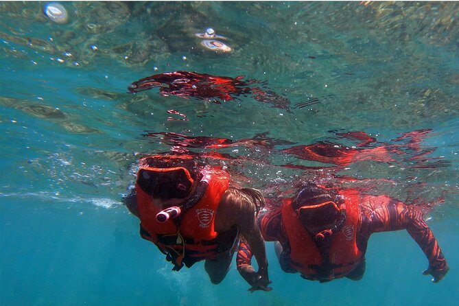 Whale Watch by Kayak-No Time Limit - Small-group value: why 20 people can feel like a private trip