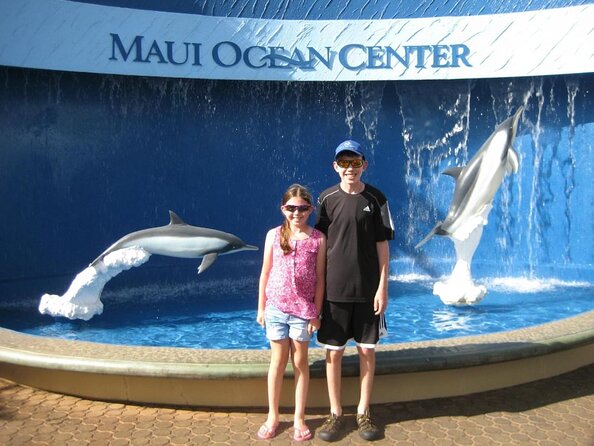 Whale Watching from Ma'alaea Harbor - Quick hits to know before you book